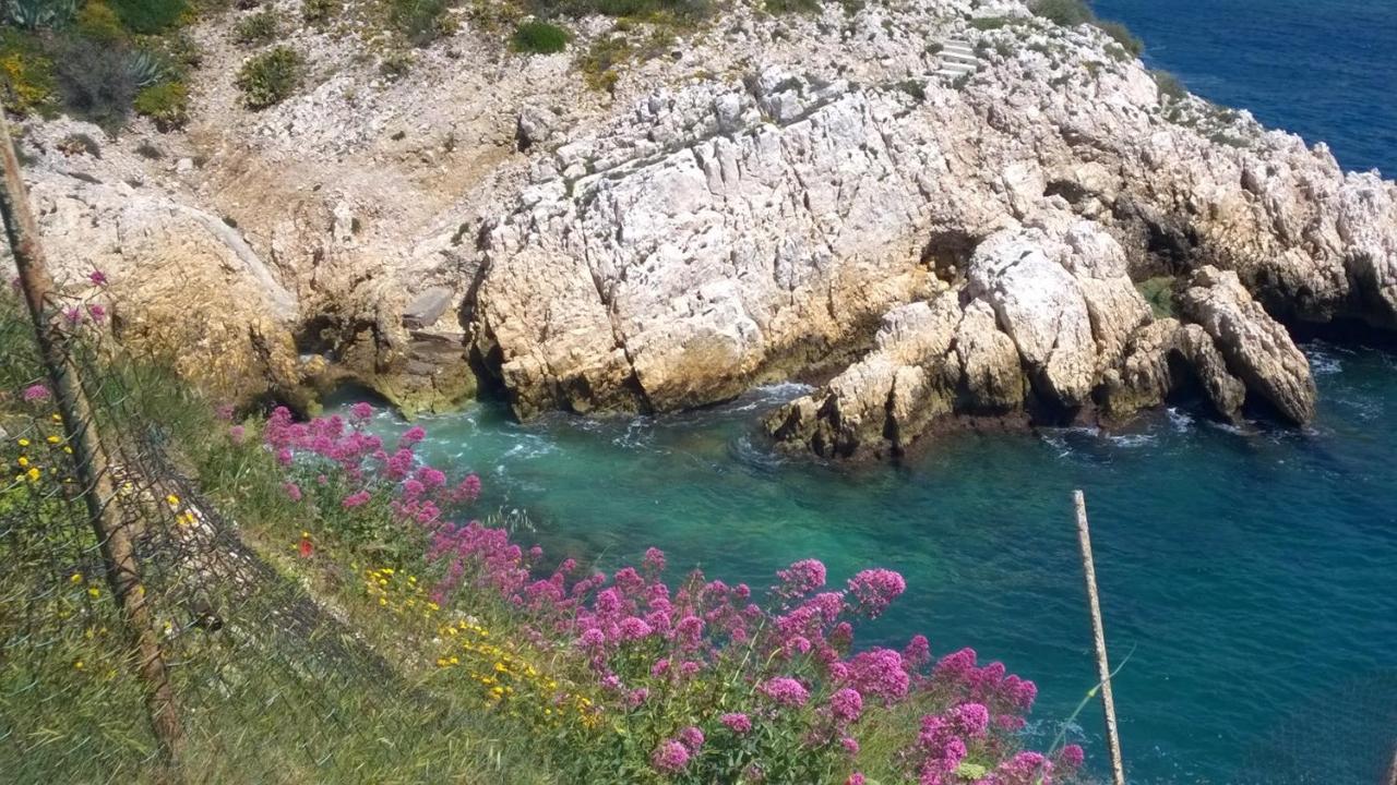 Petit Cocon A Mourepiane Leilighet Marseille Eksteriør bilde